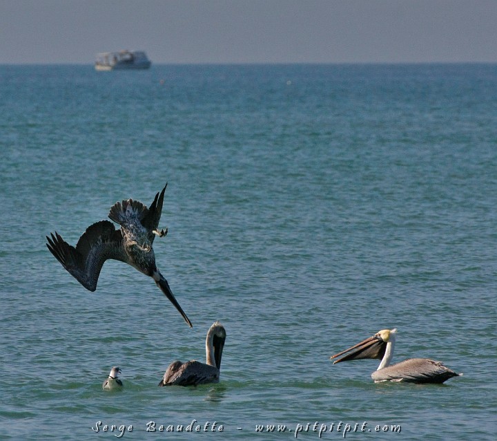 2009-01-04 10-32-39__MG_9576.JPG